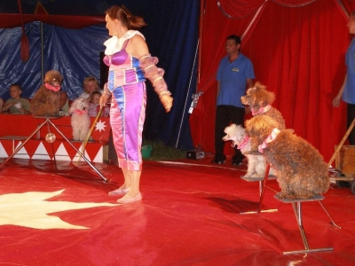 Cirkus EDUARDO [12.08.2010]