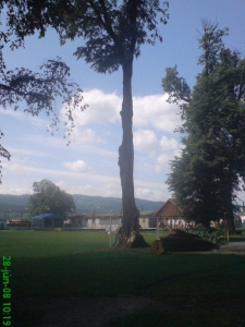 _11