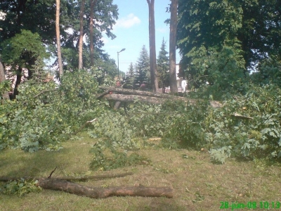 Nebezpečenstvo starých stromov - spadnutý strom v Rudoľovej záhrade [26.07.2010]